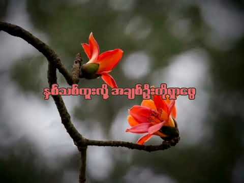 နှစ်သစ်ချစ်ဦး