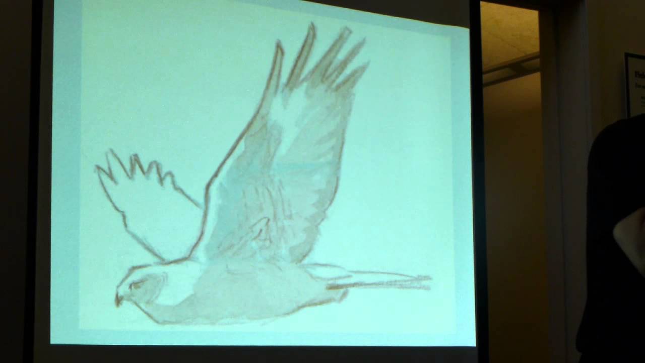 Drawing Raptors in Flight Part 1 of 2 - YouTube