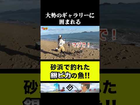 おばちゃんに【銀ピカ】掛かって砂浜騒然