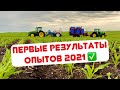 ПЕРВЫЕ РЕЗУЛЬТАТЫ ОПЫТОВ 2021 ✅ ПО ИНДЕКСУ NDVI на 28.05.2021✅