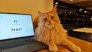 Let's Hit 80k Subscribers - Livestream Part 1!