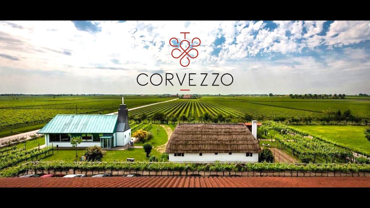 Organic Prosecco Vineyard - Beautiful Corvezzo Winery
