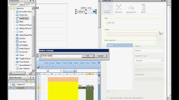 Xcelsius and BW with BICS: step 6 (Xcelsius dynamic filtering)
