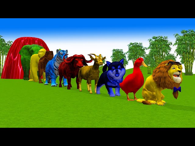 Paint & Animals Duck,Gorilla,Lion,Elephant,Cow,Sheep Fountain Crossing Transformation Animal Cartoon class=