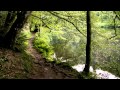 River &amp; Forest ☼ Anti Stress #10