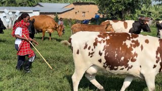 Zabyukiriye zisheje #inka