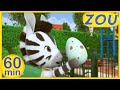 Zou in English 🐛NATURE DISCOVERIES  🍃 60 min COMPILATION | Cartoons for kids