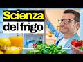 Mettere cibi caldi nel frigo lo danneggia? La scienza del frigorifero