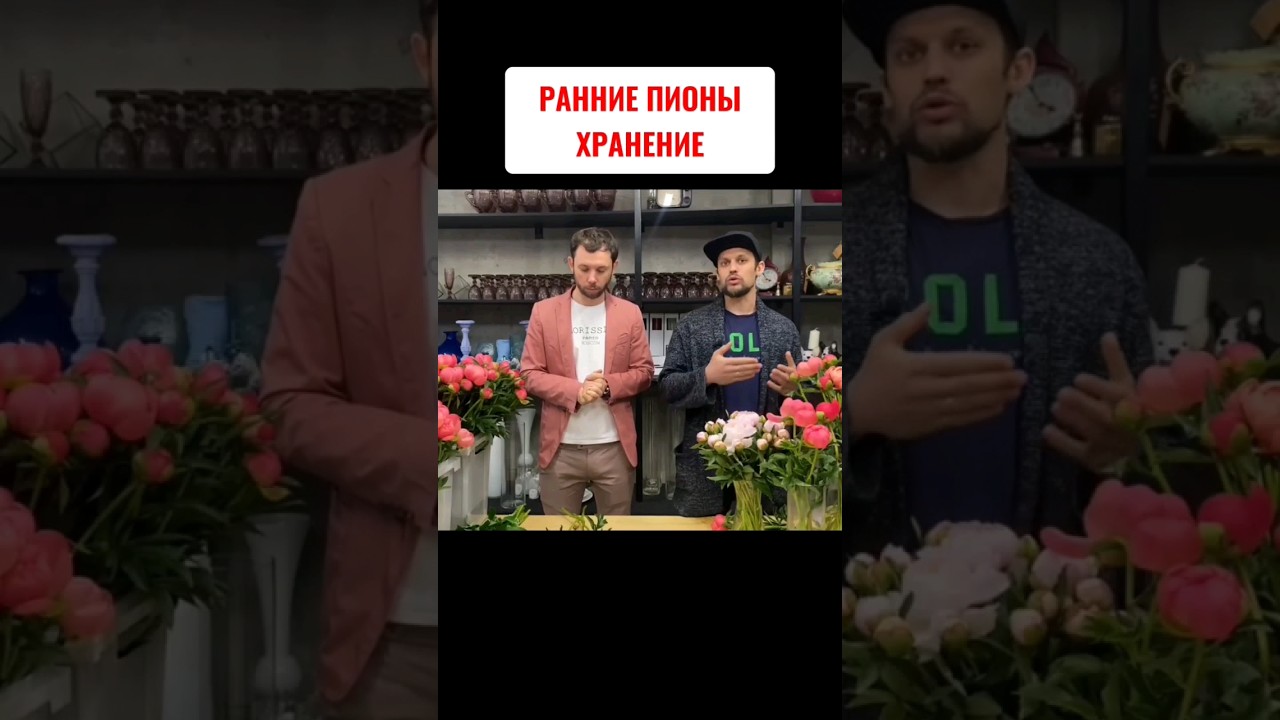 Как хранить РАННИЕ ПИОНЫ?
