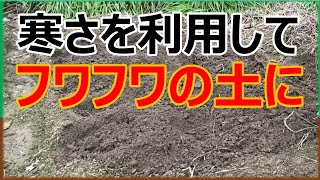 【横着栽培の土作り】寒さを利用してカチカチの土をフワフワの土にする方法　～おまけコーナー～米ぬかマルチのその後