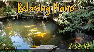 🍀Relaxing Piano Music - Reduce Nervous Stress, Stress - Help Sleep Well - Longer than 2h screenshot 5