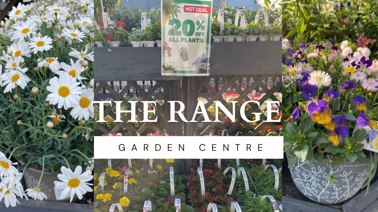 HOMEBASE GARDEN CENTRE AT THE RANGE | 20 % OFF ALL PLANTS 🪴| LATEST ARRIVALS