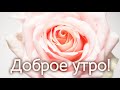 ❤️❤️❤️ПОЖЕЛАНИЕ НА ВЕСЬ ДЕНЬ❤️❤️❤️ С Добрым Утром Хорошего Дня. Доброе Утро! СТИХ