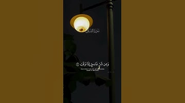 تلاوة مريحة القارئ عبدالرحمن المسعد #عبدالرحمن_مسعد #القرآن_الكريم #اكسبلور#لايك#راحة_نفسية #اكسبلور