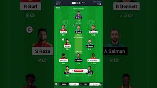 ZIM vs PAK Dream11, ZIM vs PAK Dream11 Prediction, Zimbabwe vs Pakistan T20 Dream11 Team Today