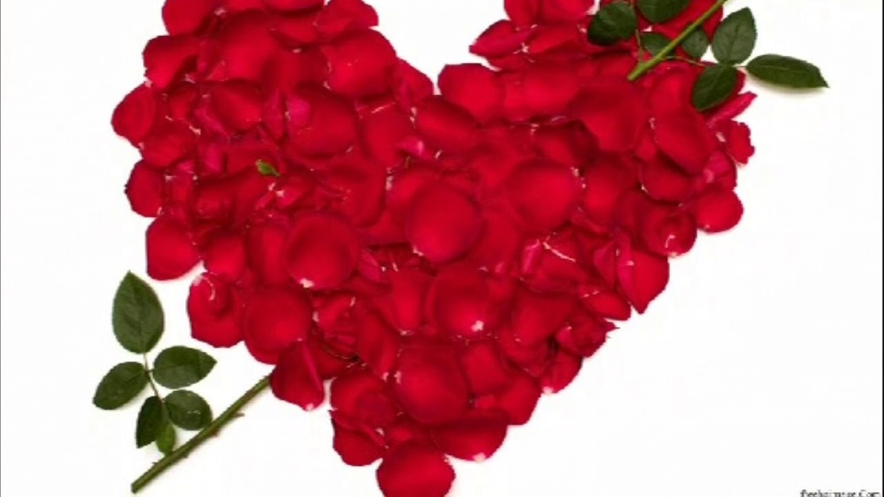 Baharudin saidi #3 (  همچو غنچه دل تنگ است )