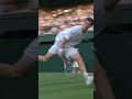 Madness from Murray 🤯🔥😮 #Wimbledon #Shorts #Tennis