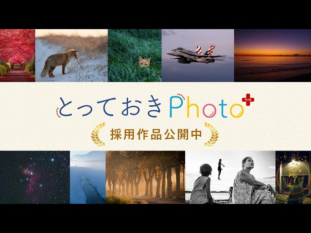 とっておきPhoto+ 採用作品［2025.2］PENTAX / GR --- RICOH