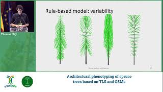 EvolTree FORGENIUS Conference 2025 – Hay, Thomas: Architectural phenotyping of spruce trees based...