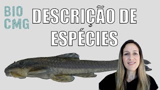 Describing and revising species (generic relocation/synonymy/homonymy): the work of the taxonomist.