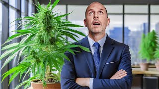 Cannabis-Legalisierung: Bundestag sagt JA - doch neue Probleme drohen | Anwalt Christian Solmecke