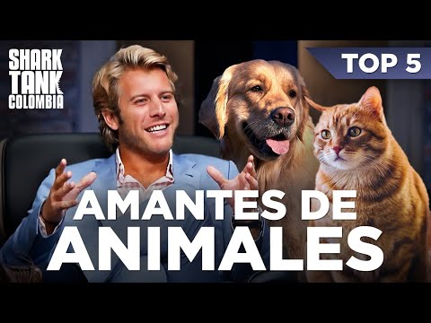 Video: Recolecta de mascotas: la prudencia 