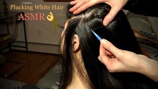 ASMR Scalp Check: White Hair Plucking Timeeeee!!! 👌 Tweezing + WOODEN COMB TlNGLES!!