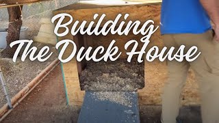 Building The Duck House/ Transplanting Broccoli