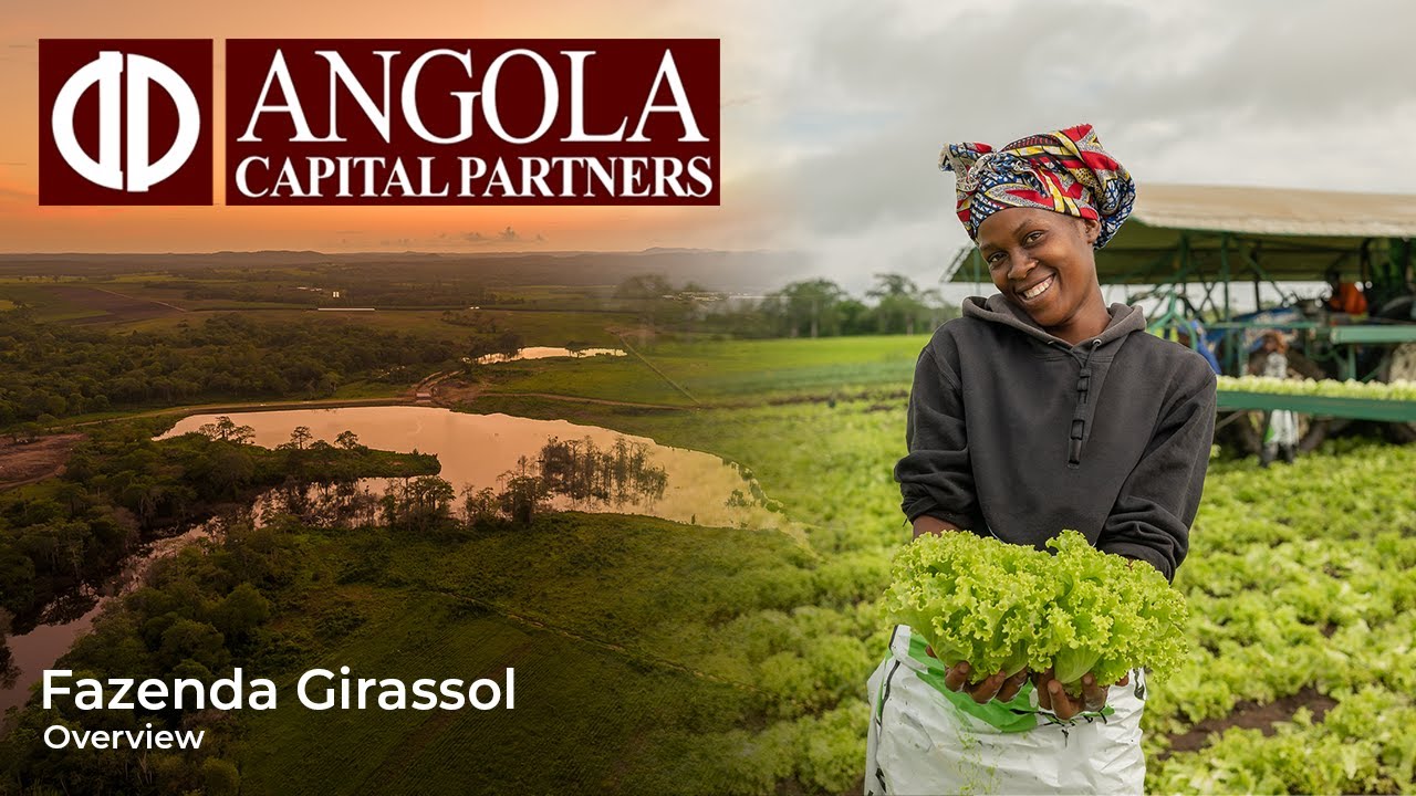 Fazenda Girassol: Growing Angola’s Future | Sustainable Agriculture in Action