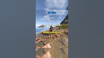 Пляжный маньяк - энциклопедия РАСТ/RUST @C0BALTLAB - обнови свой инвентарь