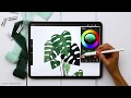 Draw a Monstera Plant in Procreate