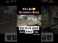 옆집 언니가 궁금한 푸바오! 호기심 많은 푸바오💕