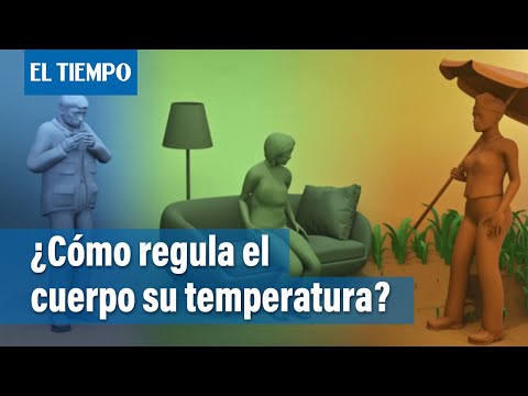 Video: ¿No puedes mantener la temperatura corporal?