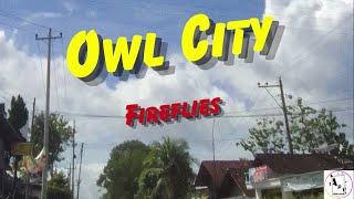 Owl City - Fireflies (Lyrics)