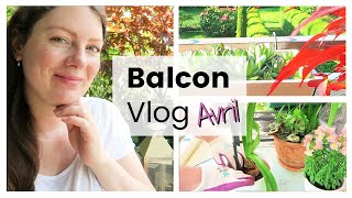 BALCON VLOG - Plantations pour l'été, organisation et rangements | Vlog jardinage au balcon