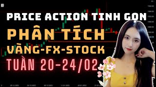 ✅ Phân Tích VÀNG-FOREX-STOCK Tuần 20-24/02 Theo Phương Pháp Price Action Tinh Gọn | TraderViet