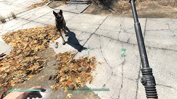Fallout 4: Infinite SPECIAL Stats and Item Duplication