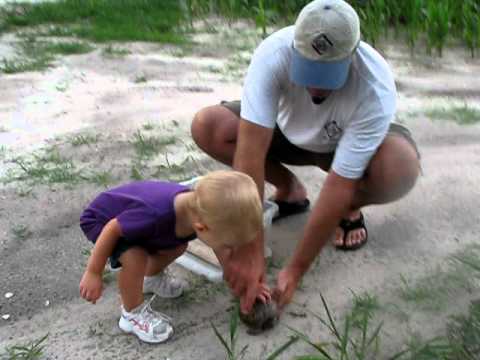kids anka Karly helping papa release a turtle : )