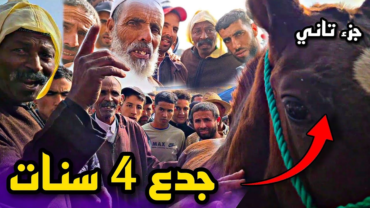 شرا جدع ب 4000 درهم عجب الناس فالسوق عطاوه فيه الرباح فالبلاصة😍مشينا عند المقدم عبد الوهاب دحماني