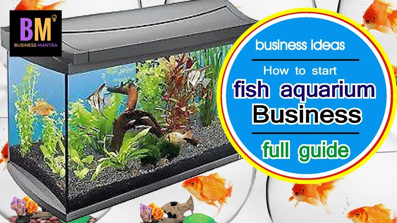 fish tank business plan