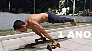 1 Ano E 3Meses De Progressão Full Planchemy Full Planche 1 Year And 3 Months Progression