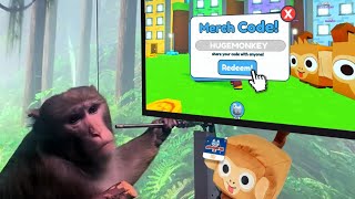 Pet Simulator X BUT with REAL MONKEYS...