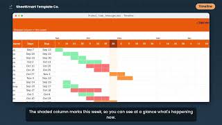 Project & Task Manager: Full Walkthrough, Every Tab Explained (Excel and Google Sheets)