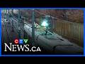 Sparks fly as two O-Train cars get stuck near Lees Station