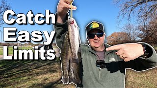 The BEST Way to Catch Stocked Rainbow Trout! (Texas Trout Fishing)
