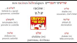 Video Racineשלט