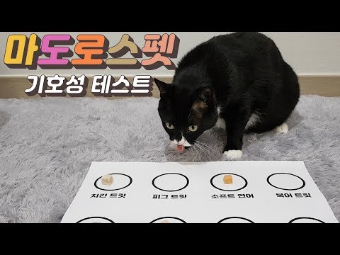 고양이 동결건조 간식 마도로스펫 8종 기호성 테스트 _ 팔월이가 좋아하는 맛은??