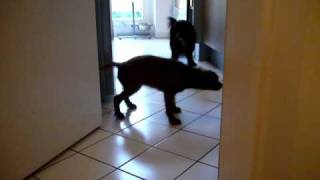 Maggie Und Nia Nach Dem Bad