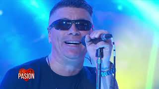 Damas Gratis En Vivo En Pasión De Sábado 05 10 2024 Parte 1