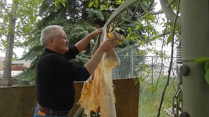 Buckskin from start to finish.